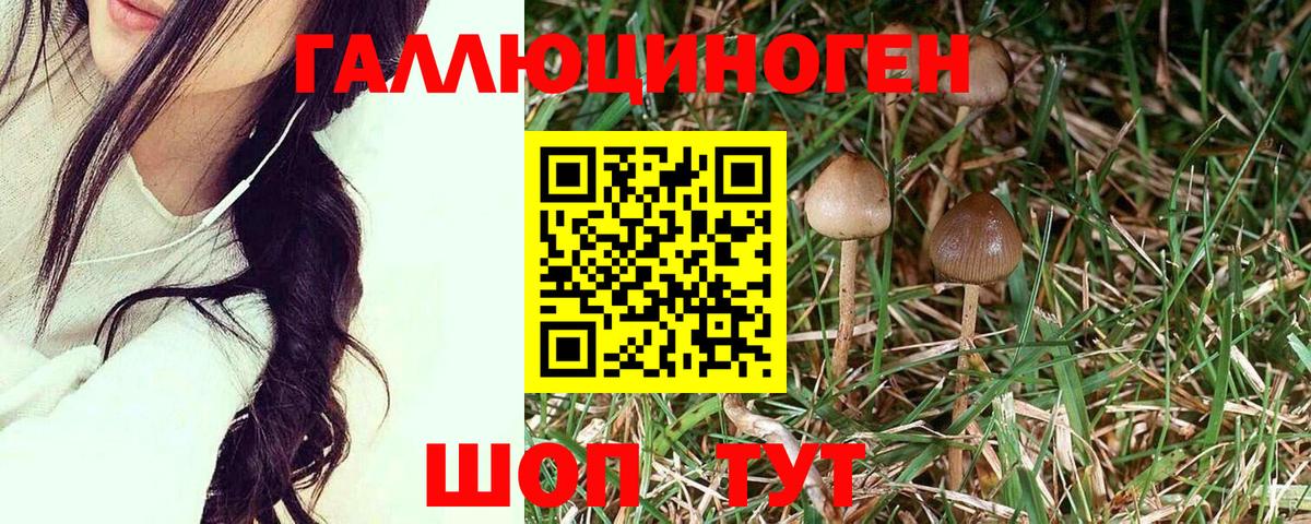 Галлюциногенные грибы MAGIC MUSHROOMS Татарск