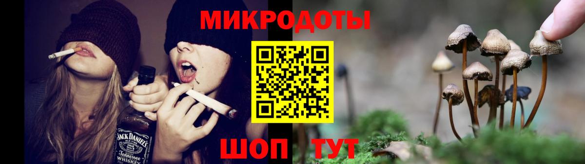 Галлюциногенные грибы Psilocybe  Вход с VPN  Татарск 